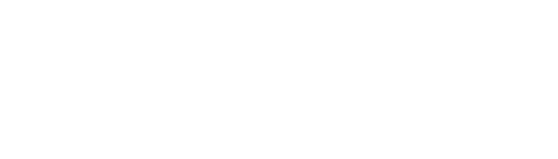 Leopard's Valley Safaris Logo Image
