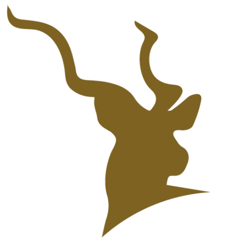 Leopard's Valley Safaris Logo Image